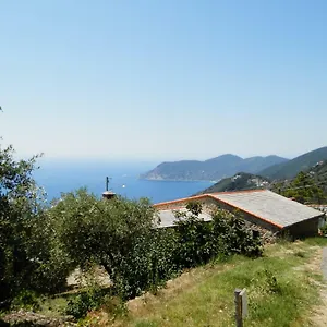 Tra Er Boscu Er Maa , Volastra Italie